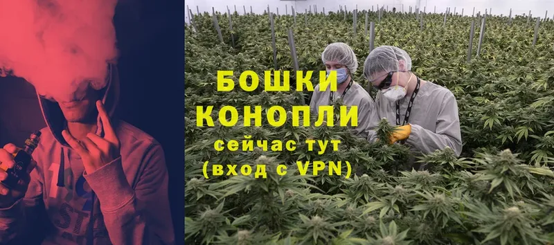 Конопля THC 21%  где можно купить   Горбатов 